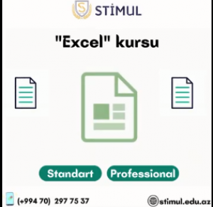 Excel proqramını Standart və Professional paketləri