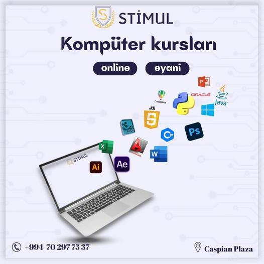 Peşəkarlığını artırmaq istəyən menecerlər üçün kompüter kursları