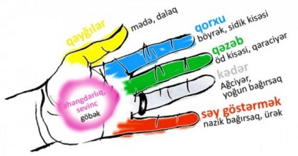 Barmaqlarınızı sıxmaqla sağlam qala bilərsiniz - 1