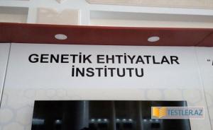 Genetik Ehtiyatlar İnstitutu bu il yeni bitki sortlarına görə 4 patent alıb